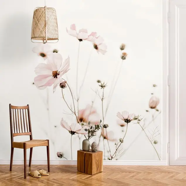 Zertifiziert Cosmea in zarten Cremetönen                               Fototapete – Vlies Smart