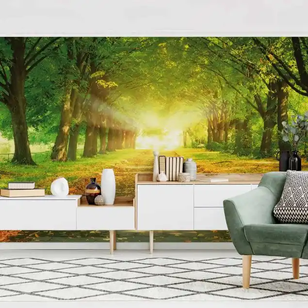 Aktuell Autumn Avenue Fototapete – Vlies Smart