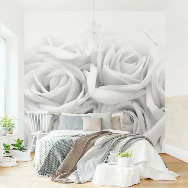 Weiße Rosen Schwarz-Weiß                               Fototapete – Vlies Smart Begrenztes Angebot