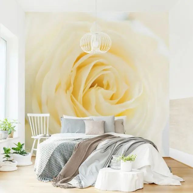 White Rose                               Fototapete – Vlies Smart Garantierte Lieferung