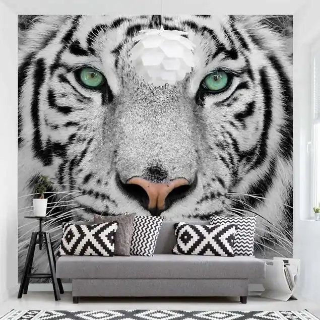 Weißer Tiger Fototapete – Vlies Smart Ausverkauf