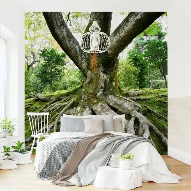Alter Baum                               Fototapete – Vlies Smart Kostenloser Versand
