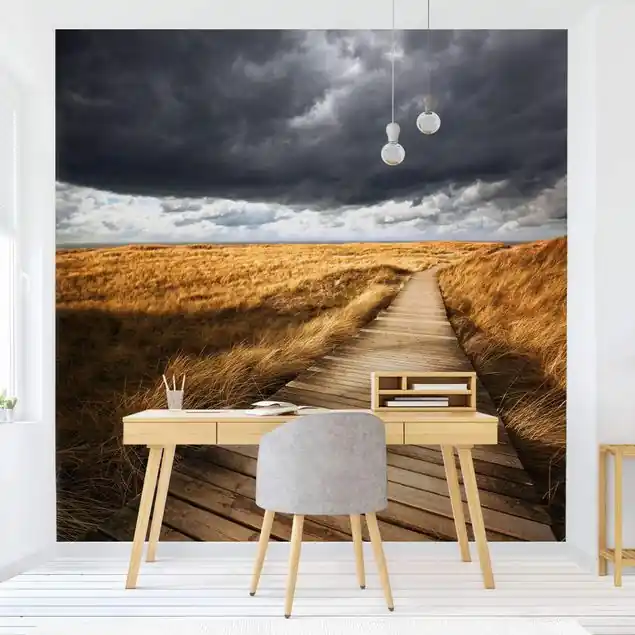 Weg in den Dünen                               Fototapete – Vlies Smart Neue Ware