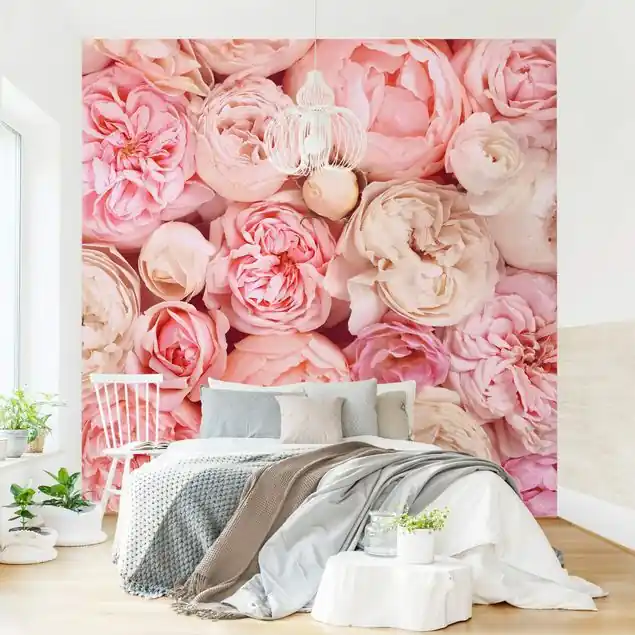 Zertifiziert Rosen Rosé Koralle Shabby Fototapete – Vlies Smart