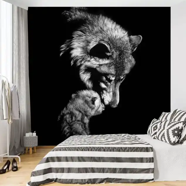 Wolf vor Schwarz Fototapete – Vlies Smart Markenware