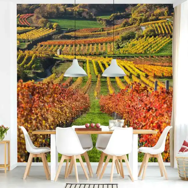 Weinberg Blick Fototapete – Vlies Smart Schneller Versand