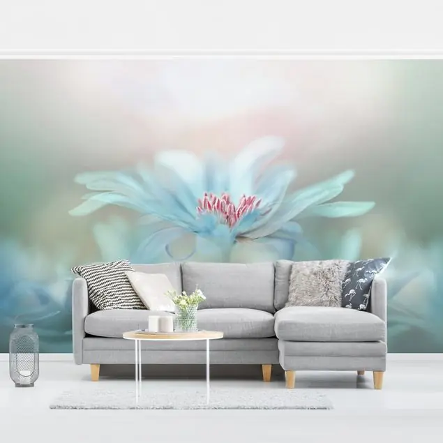 Zarte Blüten in Pastell                               Fototapete – Vlies Smart Highlight