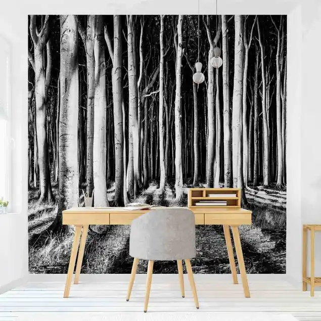 Angebot Geisterwald                               Fototapete – Vlies Smart