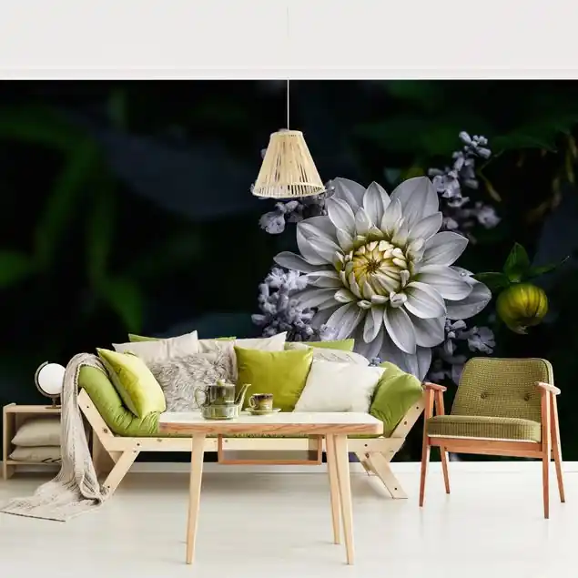 Aktuell Weiße Dahlie Fototapete – Vlies Smart