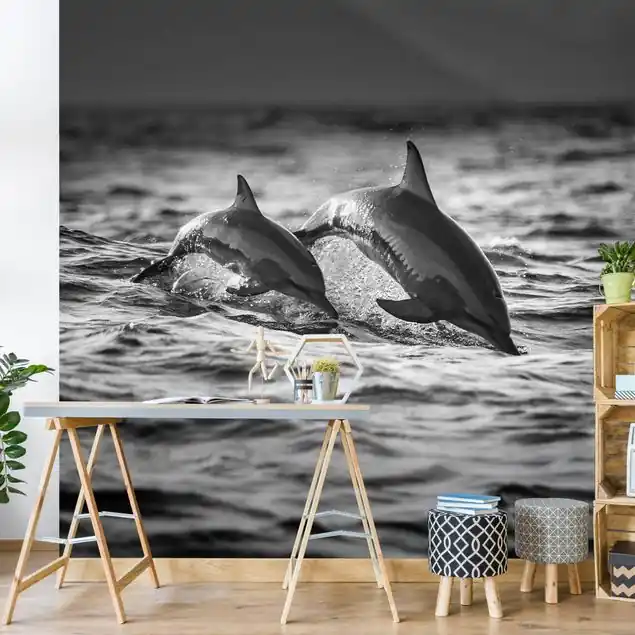 Zwei springende Delfine                               Fototapete – Vlies Smart Preisknaller