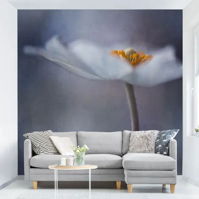 Weiße Anemonenblüte Fototapete – Vlies Smart Echt