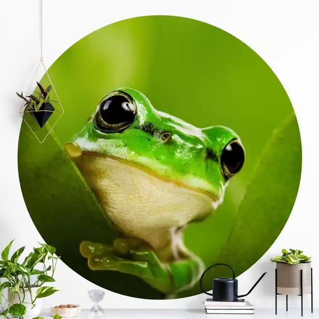 Wetterfrosch                               Runde Fototapete Online Kaufen