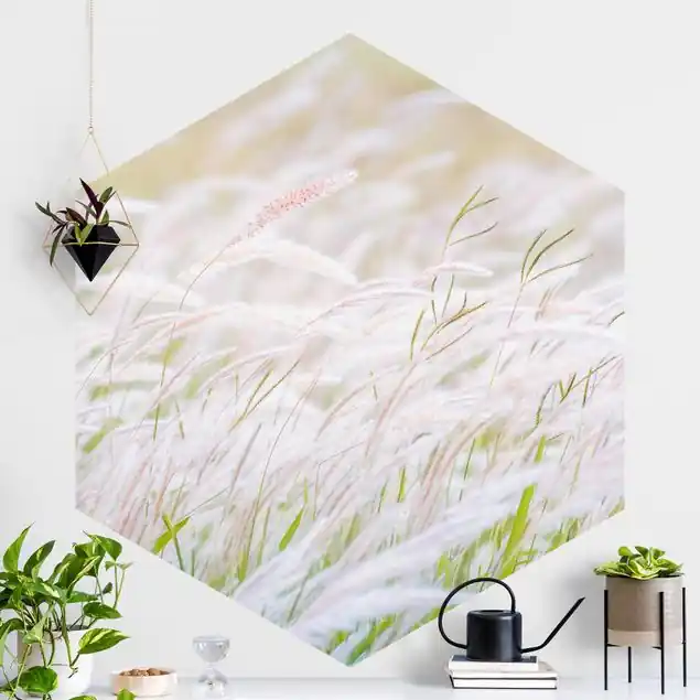 Weiche Gräser                               Hexagon Fototapete Gratis Versand