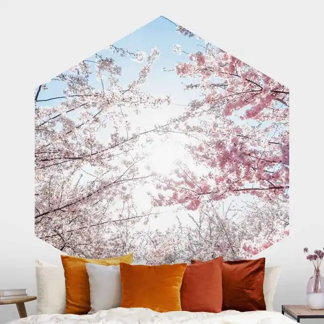 Zwischen Kirschblütenzweigen                               Hexagon Mustertapete Top-Preis