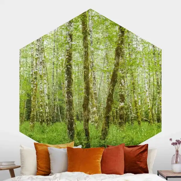 Wochenendangebot Hoh Rainforest Olympic National Park Hexagon Fototapete