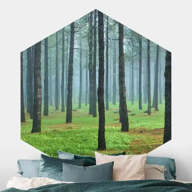 Abverkauf Tiefer Wald mit Kiefern auf La Palma Hexagon Fototapete