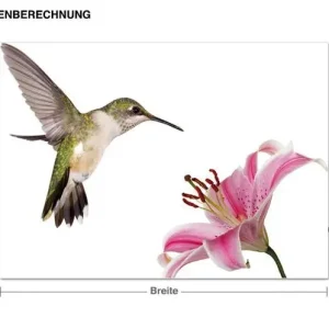 Abverkauf Kolibri