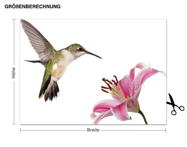 Abverkauf Kolibri