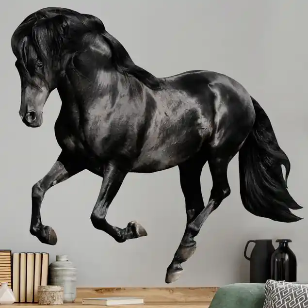 Must-Have Araberhengst
