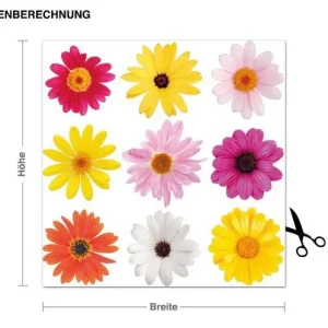 Aktuell Blüten Set