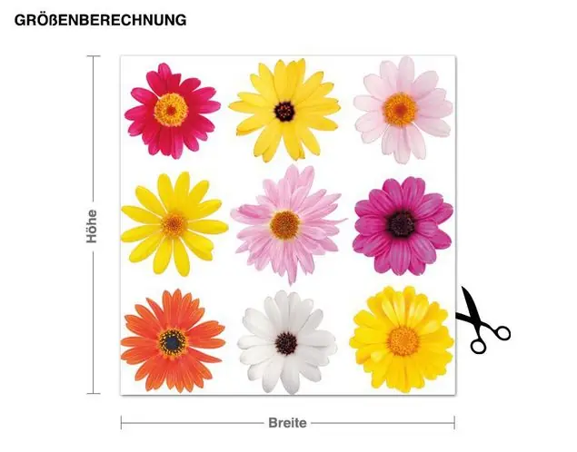 Aktuell Blüten Set