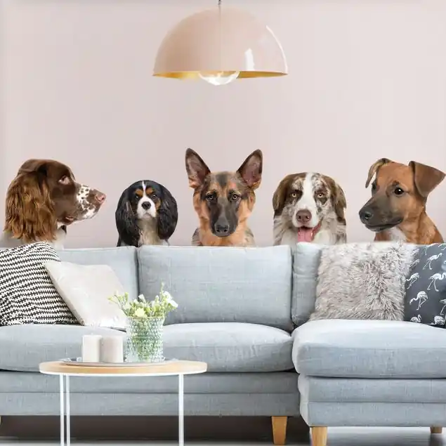 5 Freunde Preisknaller