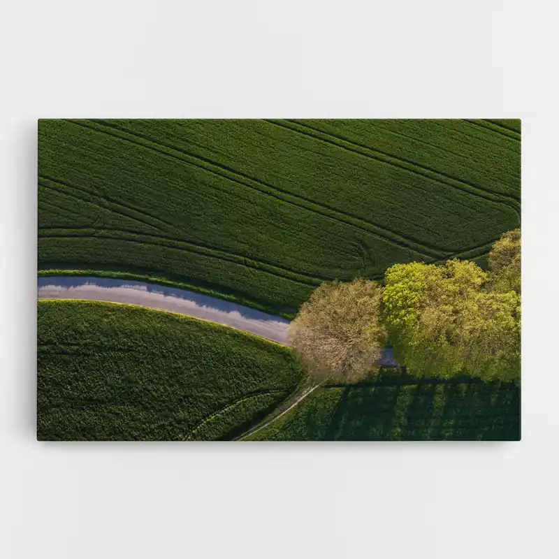 Wochenendangebot Leinwandbild Green Road