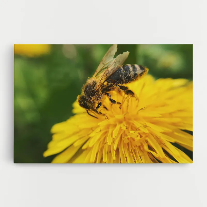 Wochenendangebot Leinwandbild Spring Bee
