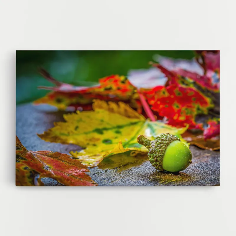 Versand Am Gleichen Tag Leinwandbild Leaf Color Forest