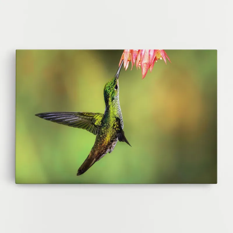 Wochenendangebot Leinwandbild Wild Bird Flower