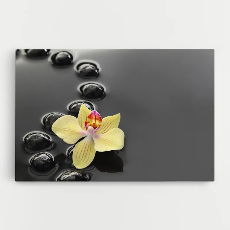Zertifiziert Leinwandbild Orchid In Water