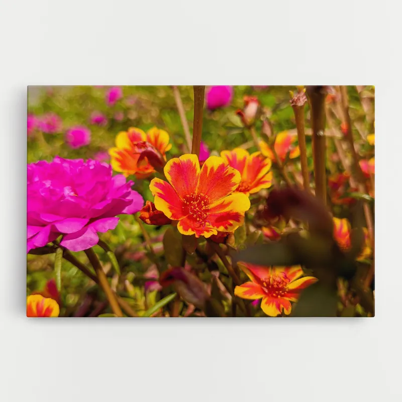 Aktuell Leinwandbild Wild Orange Yellow