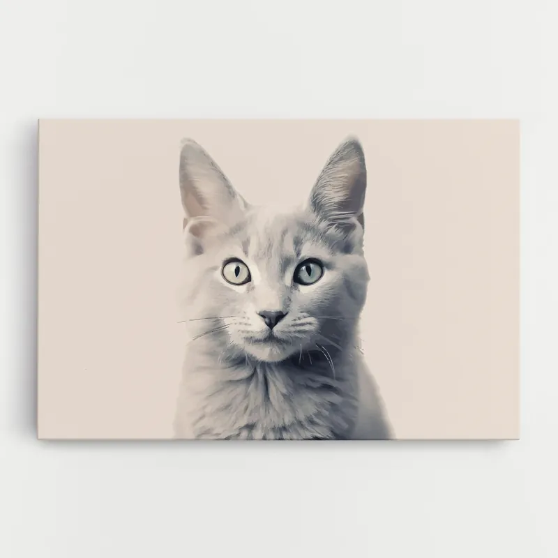 Abverkauf Leinwandbild Pretty Grey Cat