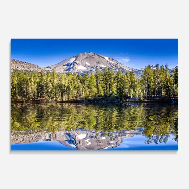 Angebot Glasbild Green Tree Lake