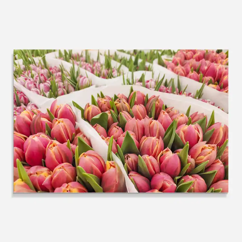 Aktuell Glasbild Pretty Pink Tulips Bouquet