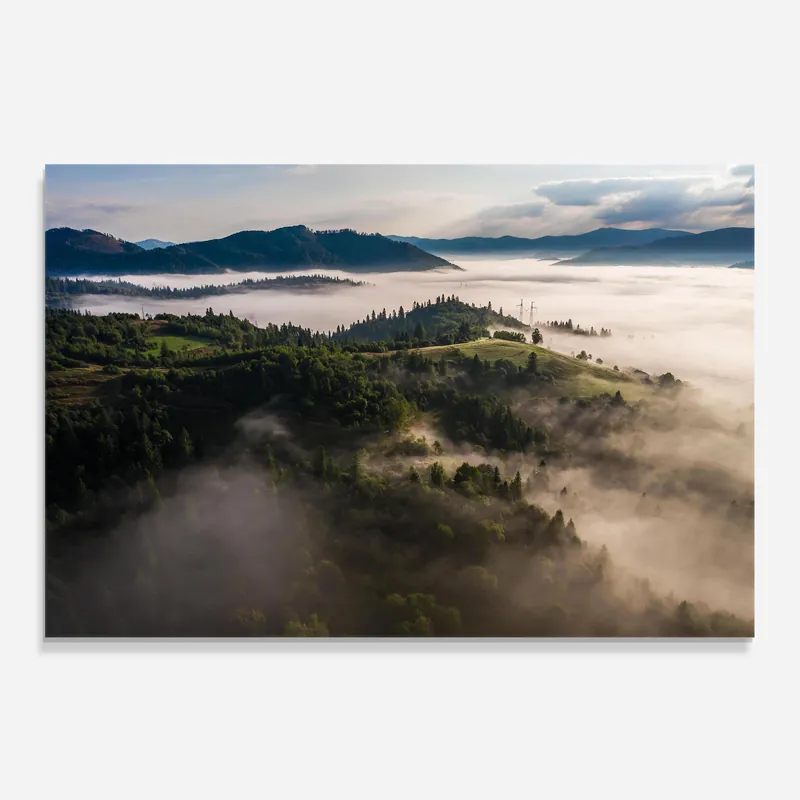 Küchenrückwand Glas Foggy Forest View Preiswert