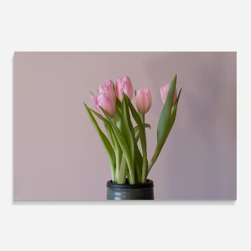 Kracherpreis Küchenrückwand Glas Pink Tulips Vase