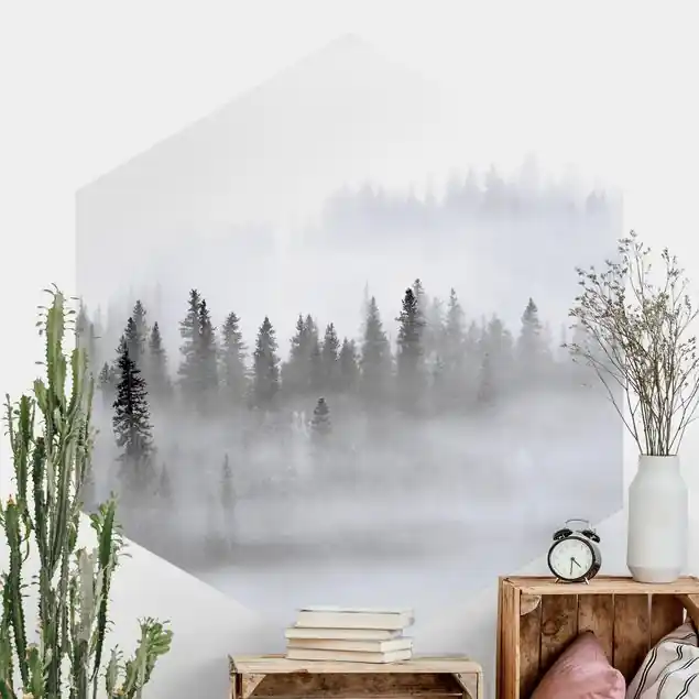 Nebel im Tannenwald Schwarz-Weiß Hexagon Fototapete Wochenendangebot