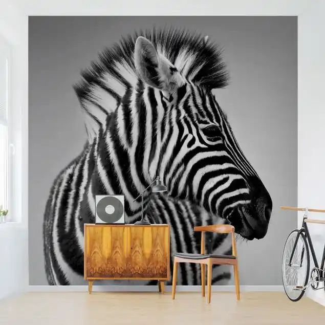 Zebra Baby Portrait II Fototapete • Vliestapete + Kleister • hergestellt in Deutschland Kracherpreis