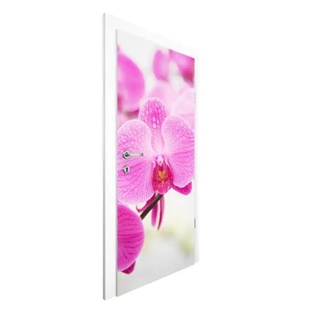 Angebot Nahaufnahme Orchidee Türtapete
