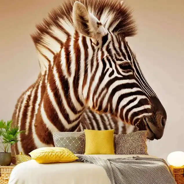 Zebra Baby Portrait Fototapete • Vliestapete + Kleister • hergestellt in Deutschland Ausverkauf