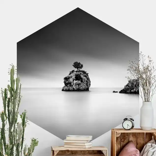 Aktuell Felseninsel im Meer Schwarz-Weiß Hexagon Fototapete
