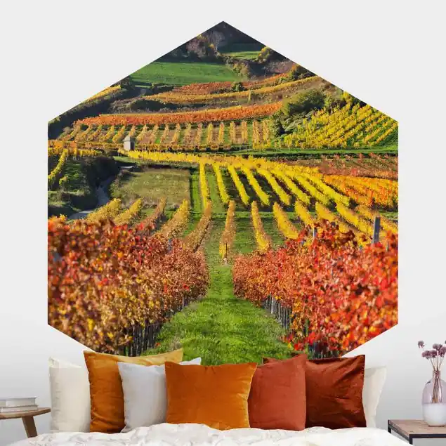 Weinberg Blick Hexagon Fototapete Must-Have