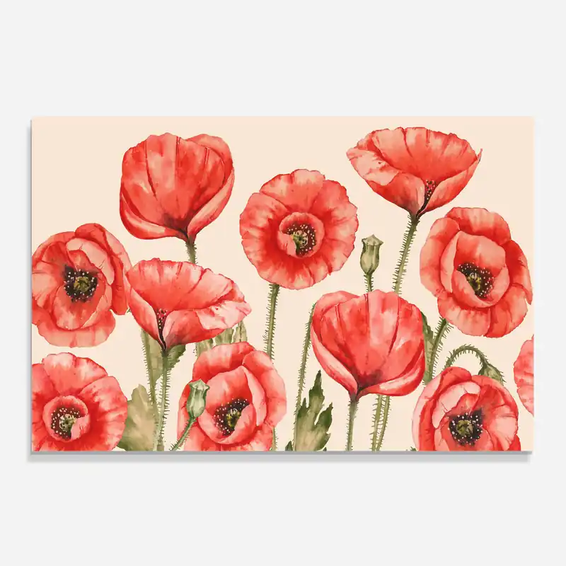 Abverkauf Küchenrückwand Glas Hand Drawn Poppy