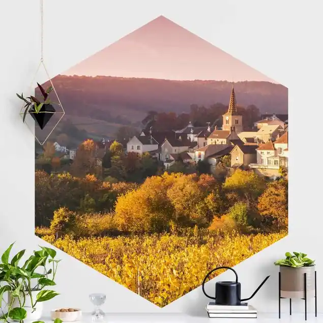 Wochenendangebot Weinberge in Frankreich Hexagon Fototapete
