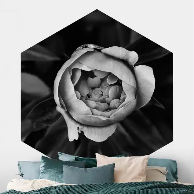 Wochenendangebot Pfingstrosenblüte vor Blättern Schwarz-Weiß                               Hexagon Fototapete