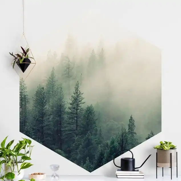 Abverkauf Wald im Nebel Erwachen Hexagon Fototapete