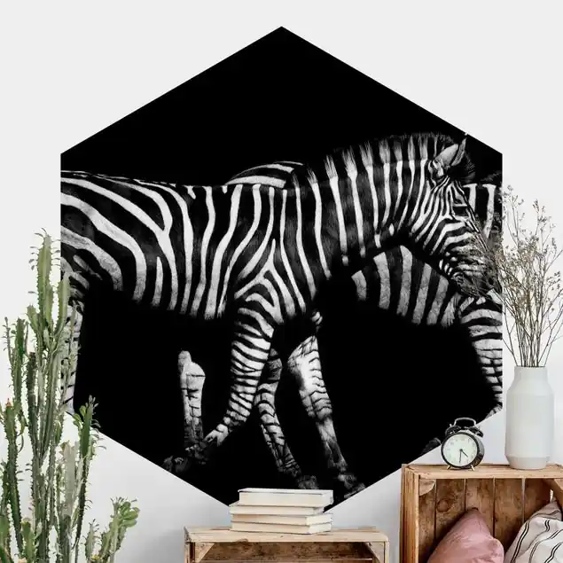 Zebra vor Schwarz Hexagon Fototapete Bestpreis