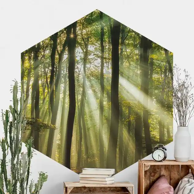 Angebot Sonnentag im Wald                               Hexagon Fototapete