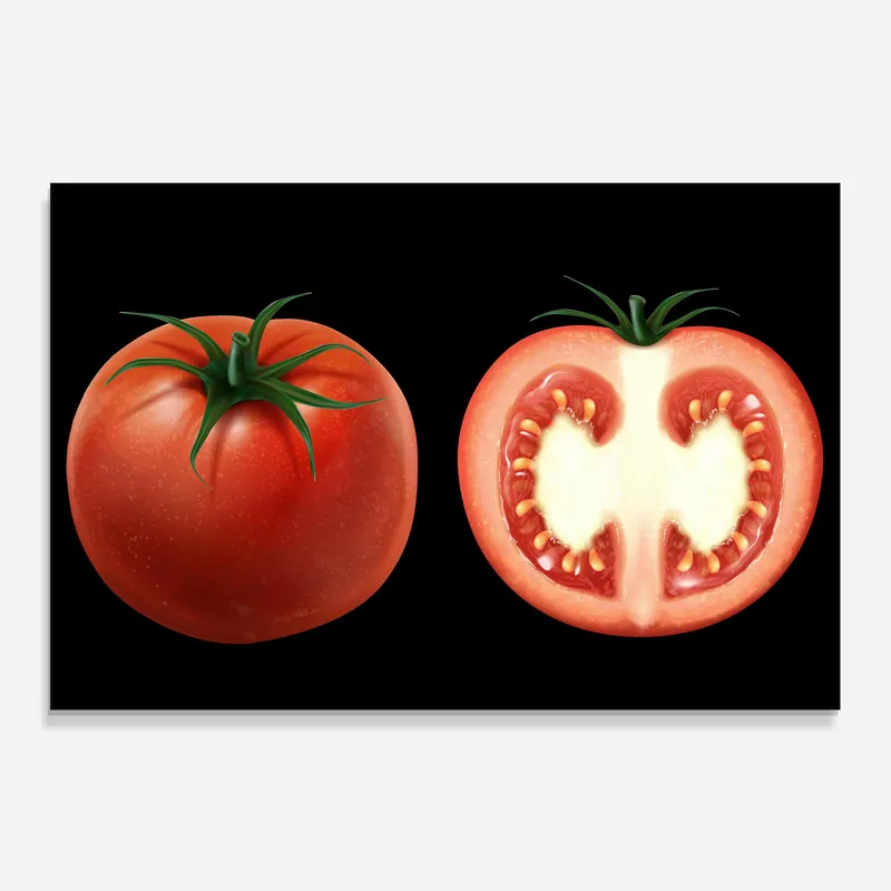 Abverkauf Küchenrückwand Glas Tomato Cut